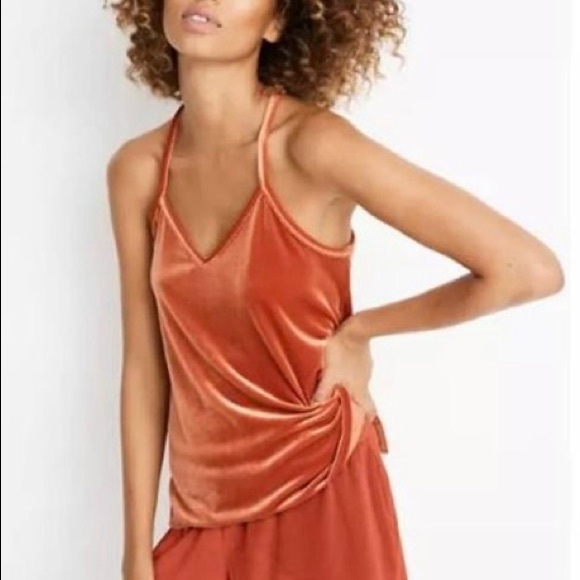 Madewell Velvet Tank - Picture 2 of 4